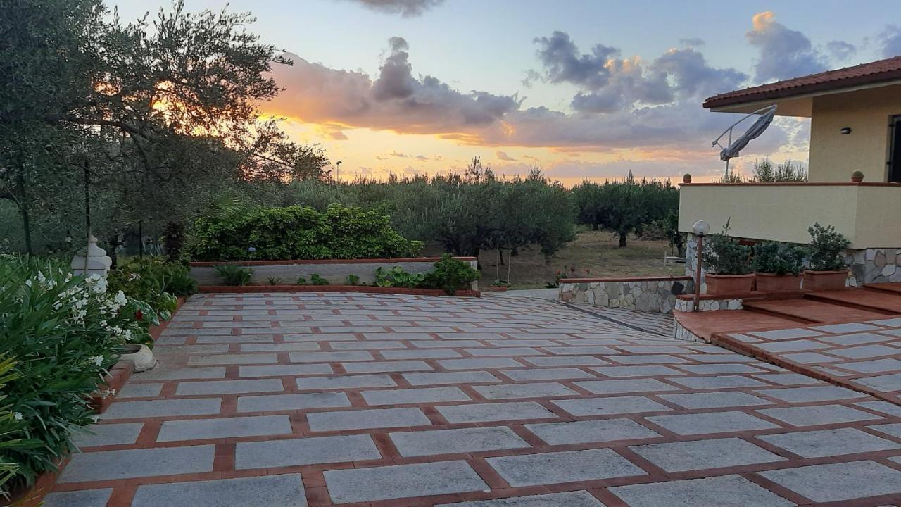 泰拉西尼Casanonnavittoria住宿加早餐旅馆 外观 照片